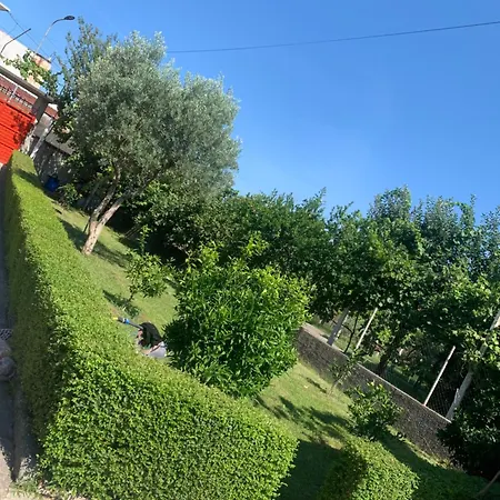 Garden * Szkodra