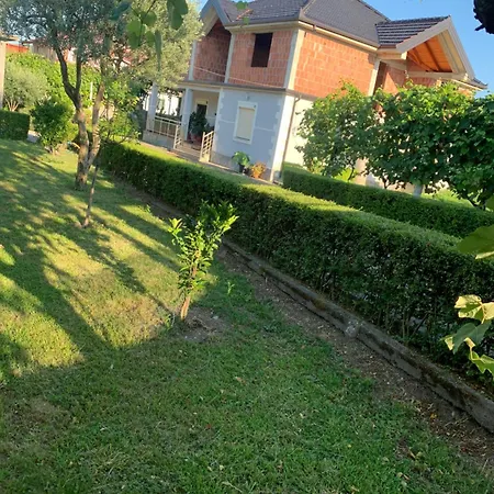 Garden * Szkodra
